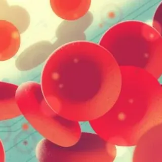 Bloodstream